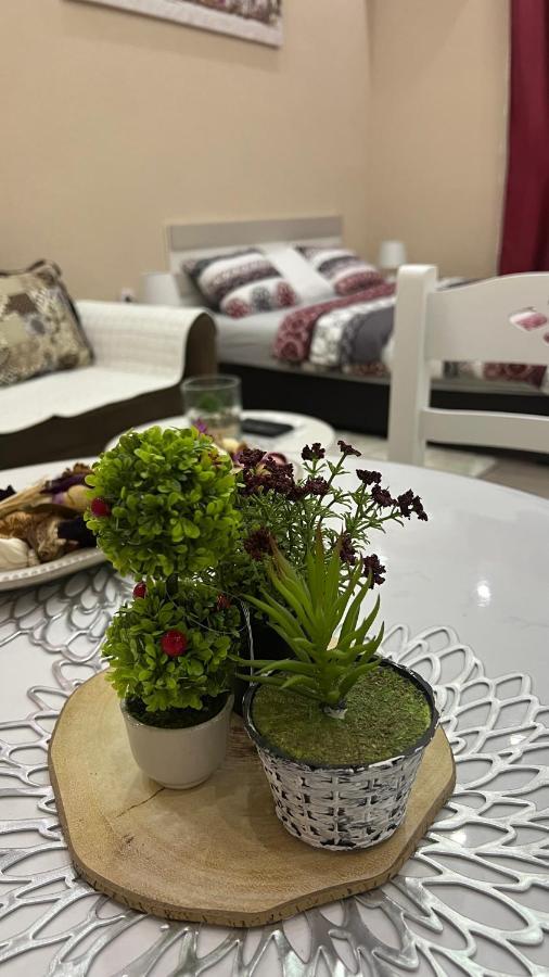 Appartement Downtown